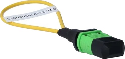 Blueoptics Mpo Grønn