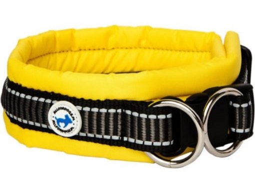 All For Dogs Obroża Dla Psa Żółta R L 50 60Cm