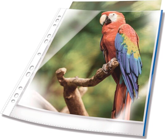 Durable Plastlomme A4 25 stk bl?? kant