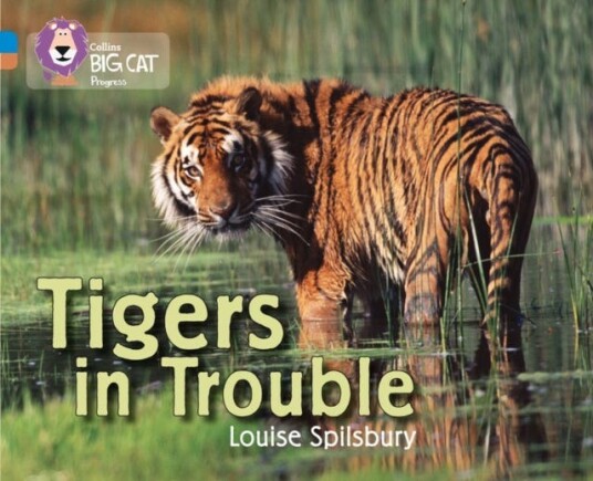 Tigers in Trouble Band 04 Blue/Band 12 Copper