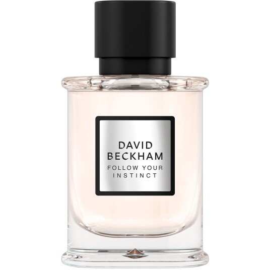 David Beckham Follow Your Instinct Eau de Parfum 50ml for Men