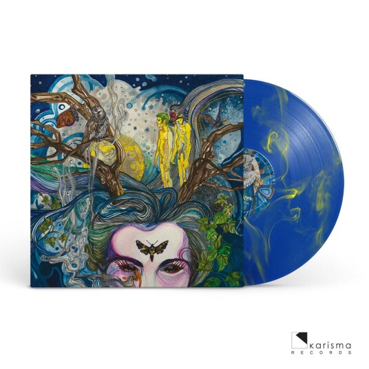 Arabs In Aspic Pictures in a Dream LP/Vinyl Arabs In Aspic Pictures in a Dream LP/Vinyl