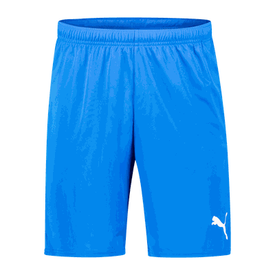Puma teamgoal shorts treningsshorts herre blue xxl Puma teamgoal shorts treningsshorts herre blue xxl