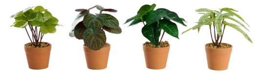 DAY KUNSTIG PLANTE 7X7X15CM DAY DAY KUNSTIG PLANTE 7X7X15CM DAY
