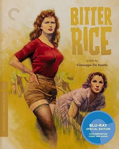 Bitter Rice Bluray