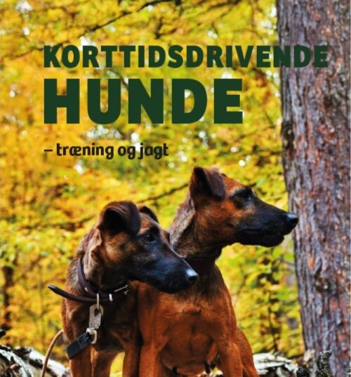 Korttidsdrivende Hunder | Mathias Vogdrup Schmidt | Språk: Dansk