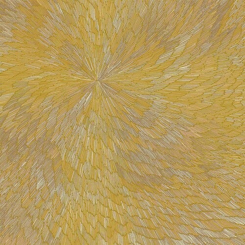 Pjev Kit Downes Hayden Chisholm Medna Roso LP/Vinyl
