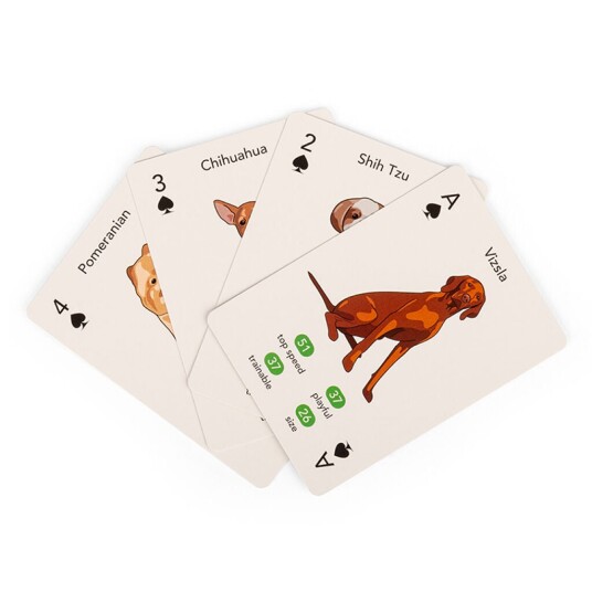 Kikkerland Paws & Play Playing Cards GG274 Kikkerland Paws & Play Playing Cards GG274
