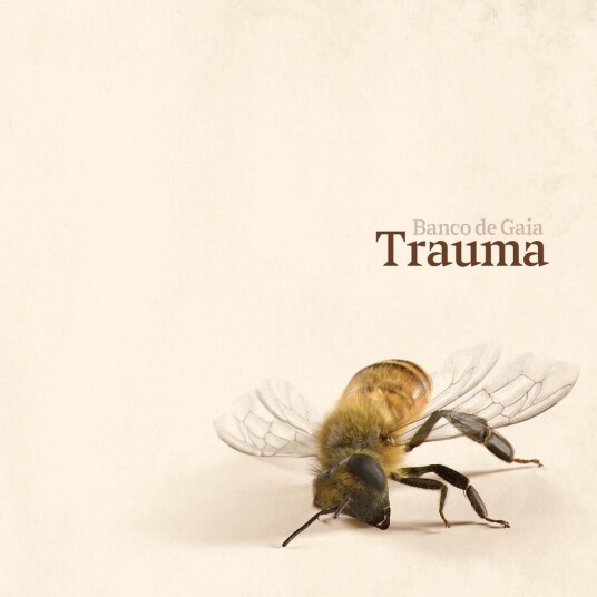 Banco De Gaia Trauma CD Banco De Gaia Trauma CD
