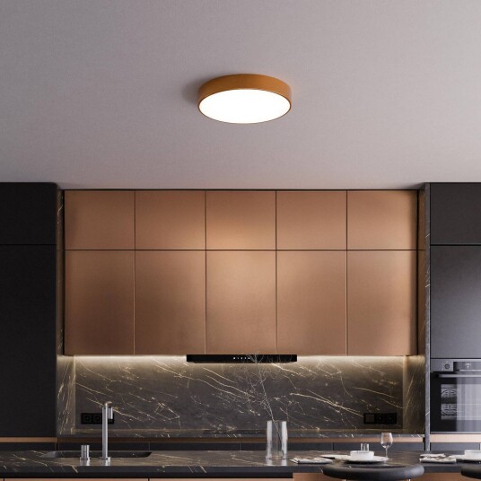 TEMAR LIGHTING Cleo taklampe Ø 50 cm IP54 kobberfarget metall E27