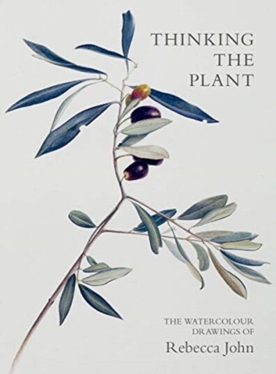 Thinking The Plant Av Rebecca John