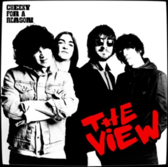 The View Cheeky For A Reason National Album Day 2024 Uk Vinyl
