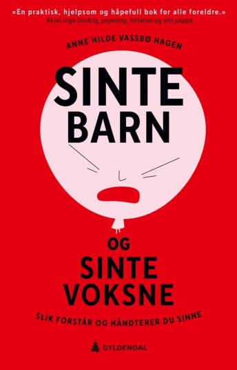 Sinte Barn Og Sinte Voksne Av Anne Hilde Vassbø Hagen