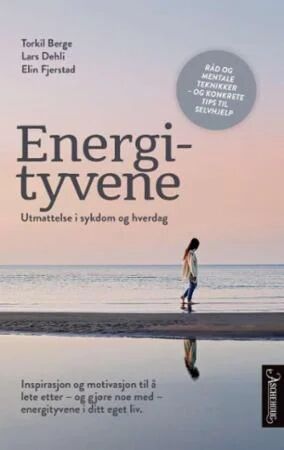 Energityvene Av Torkil Berge, Lars Dehli, Elin Fjerstad