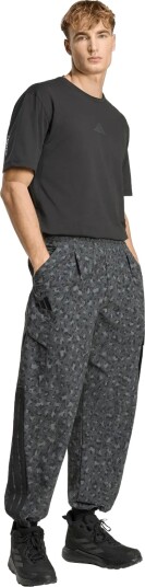 adidas Terrex Cargo Pants Aop Grey S