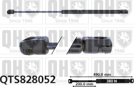 QUINTON HAZELL QTS828052 Baklukedemper
