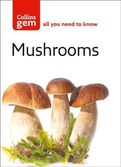 Mushrooms Av Patrick Harding Mushrooms Av Patrick Harding
