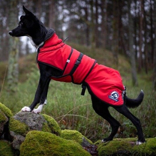 Canelana Vinterdekken Thermo Rød S/M til Hund