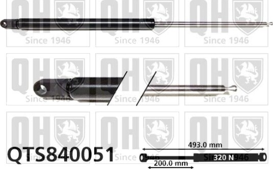 QUINTON HAZELL QTS840051 Baklukedemper