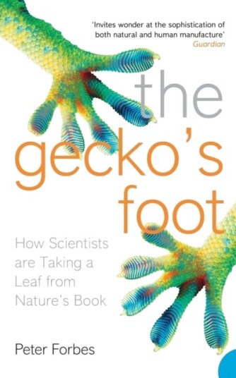 The Gecko’s Foot  How Scientists are Taking a Leaf from Nature's Book