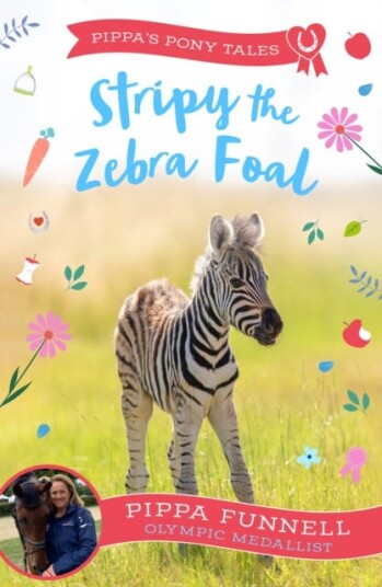 Stripy the Zebra Foal Stripy the Zebra Foal