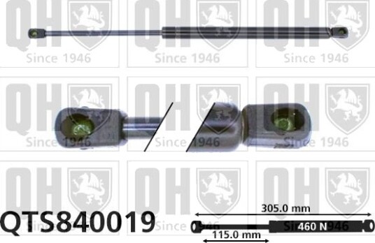 QUINTON HAZELL QTS840019 Baklukedemper QUINTON HAZELL QTS840019 Baklukedemper
