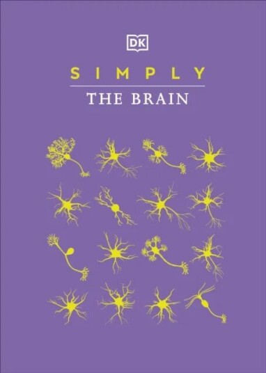 Simply The Brain Av Dk