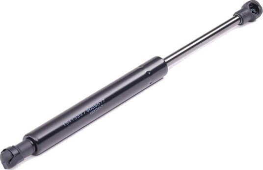 RIDEX 219G0170 Baklukedemper