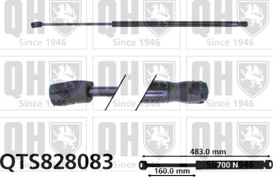 QUINTON HAZELL QTS828083 Baklukedemper