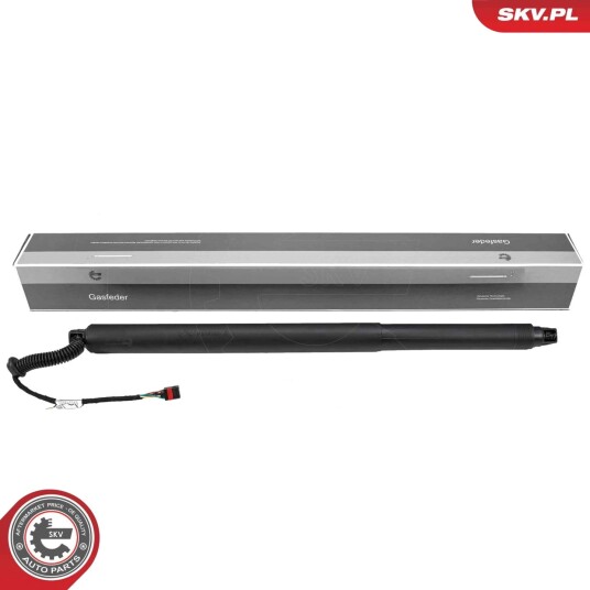 Elektromotor bakluke ESEN SKV 52SKV239