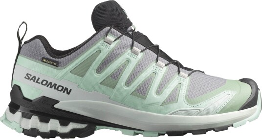 Salomon XA PRO 3D V9 GTX Dame QuSh/Lily/Bluhaz 40 2/3