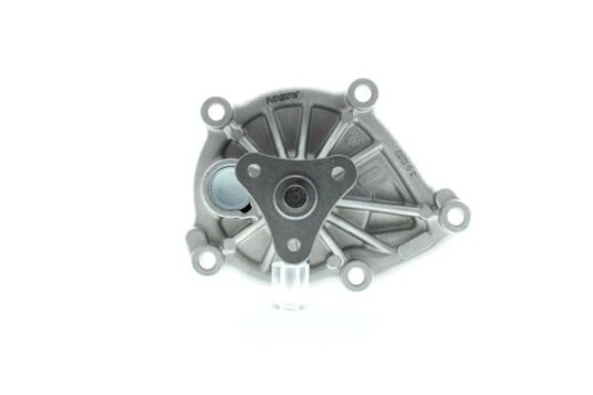 AISIN WE BM25 Vannpumpe