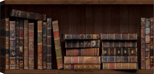 Canvasbilde YTY Reading and Literature Flerfarget 120x50 cm