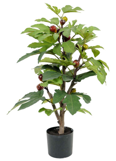 Mr. Plant Fikentre 65 cm Mr. Plant Fikentre 65 cm