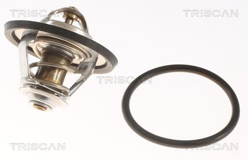 Termostat TRISCAN 8620 9991