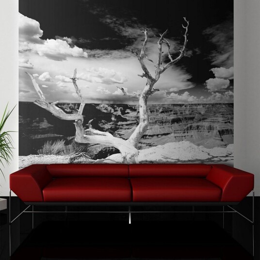 Fototapet Grand Canyon Tre 300x231 - Artgeist sp. z o. o.