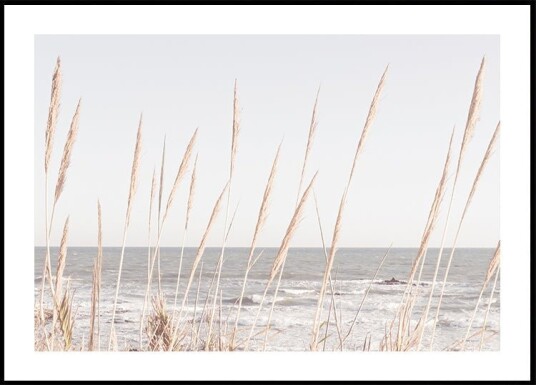 Beach_Vass_002 Poster Plakat / 50x70cm