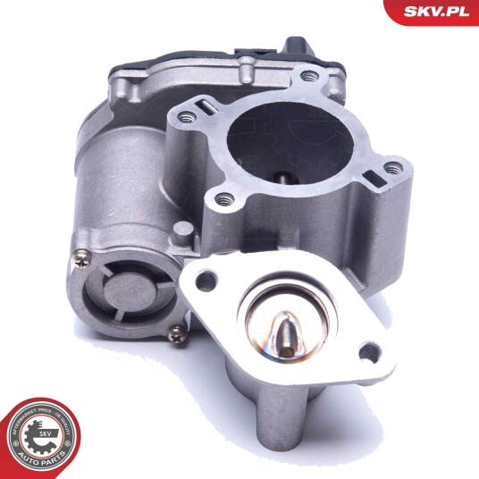EGR ventil ESEN SKV 14SKV184