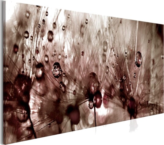 Bilde Dandelions After Rain 150x50 Artgeist sp. z o. o.