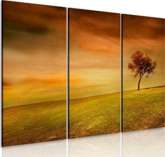 Bilde A Lonely Tree On A Meadow 60x40 Artgeist sp. z o. o.
