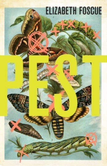 Pest Av Elizabeth Foscue