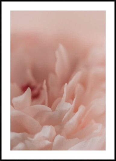 Blossoming No. 2 Plakat Plakat / 40x50cm Blossoming No. 2 Plakat Plakat / 40x50cm