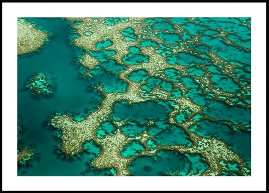 Gondwana Plakat / 40x50cm Gondwana Plakat / 40x50cm