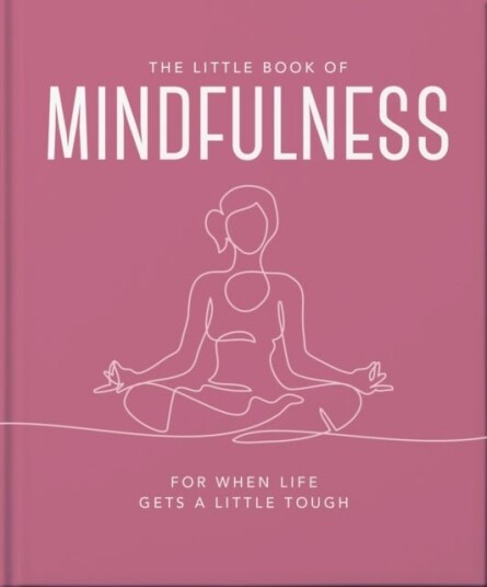 The Little Book of Mindfulness