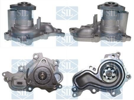 Saleri SIL PA1750 Vannpumpe