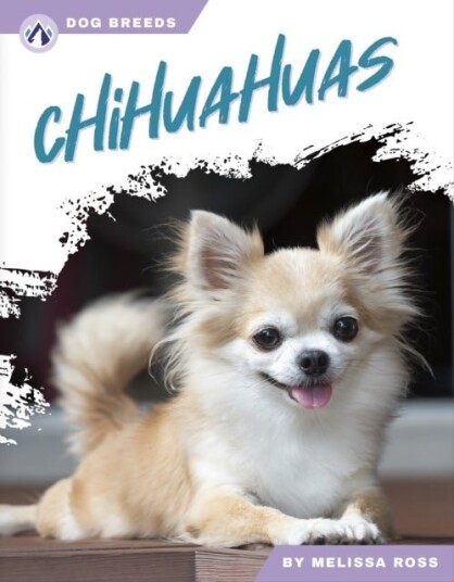 Chihuahuas Chihuahuas