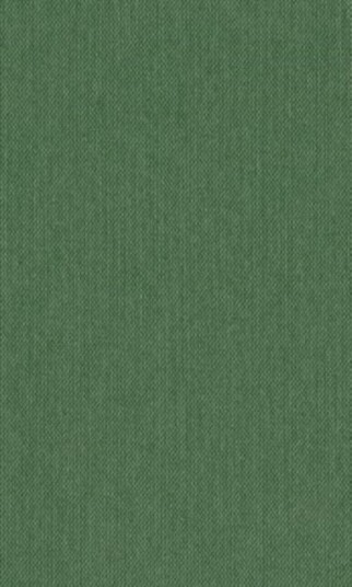 The Bright Meyler Papers