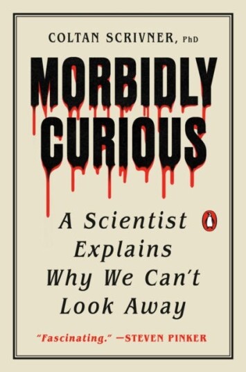 Morbidly Curious  A Scientist Explains Why We Can't Look Away