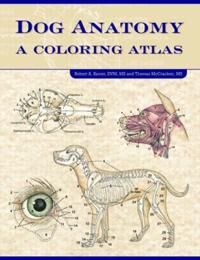 Dog Anatomy Av Robert (College Of Veterinary Medicine University Of Georgia Atlanta Usa) Kainer, Thomas O. Ms (College Of Veterinary Medicine Universi Dog Anatomy Av Robert (College Of Veterinary Medicine University Of Georgia Atlanta Usa) Kainer, Thomas O. Ms (College Of Veterinary Medicine Universi