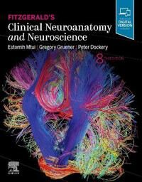 Fitzgerald'S Clinical Neuroanatomy And Neuroscience Av Estomih (Associate Professor Of Clinical Anatomy In Neurology And Neuroscience Director Pr